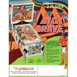 Big Brave Flyer